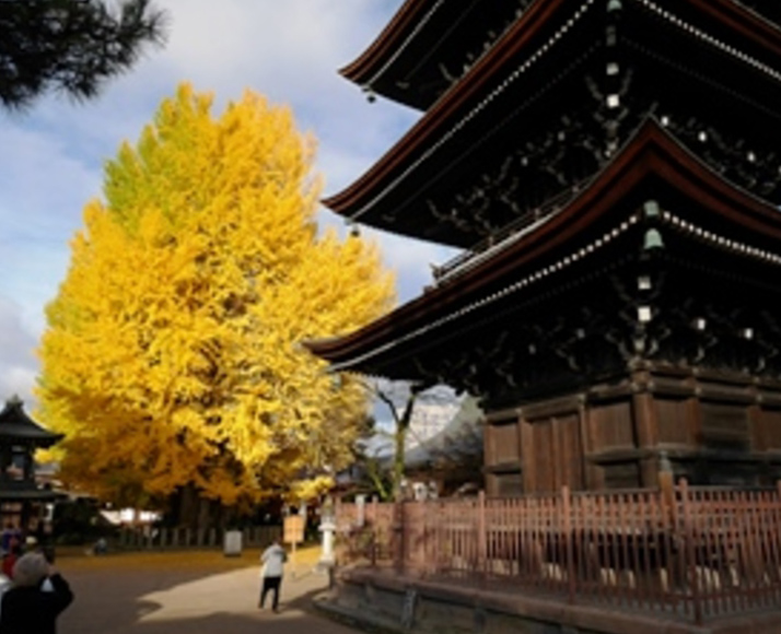 Kokubunji temple